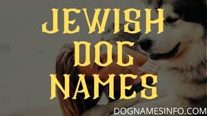 There are some common words like fido, pal, prince, rex and sparky, these might suit the nostalgia buffs. 120 Jewish Dog Names And Meaning For Male And Female Puppy