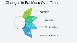 Image result for Body Composition Changes with Aging