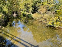 This is an early 70's photo. Notice the close proximity of the cattle with  the stream, also some in the stream. That is no longer condoned because of  today's environmental standards. Comments