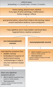 Image result for Enuresis