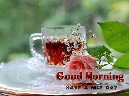 Check spelling or type a new query. Good Morning Wishes Pictures Images Page 18