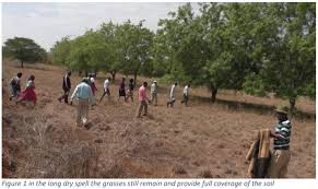 Start date feb 10, 2006. Man Made Pastures Postcard From Nthia Makueni County Kenya