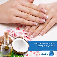 يتميز زيت جوز الهند بأنه ذو فوائد وإستخدامات جمالية متعددة أطباء بالطو بينصحوا بإستخدامه لفوائده الكثيرة بالطو palteau بالطو أسرار الجمال jewelry