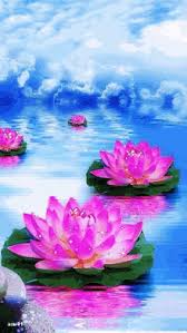 Here are some more pictures of jesus christclick. Beautiful Animated Pictures Of Nature Gifs Tenor