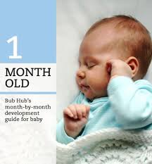 What Should My 1 Month Old Baby Do 1 2 Months Of Development Of The Baby Bub Hub 2 Months V 2020 G