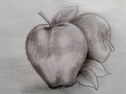 Cara membuat gambar kolase l gambar kolase buah apel l pembuatan gambar kolase buah apel merah. 21 Sketsa Gambar Apel Lengkap Mudah 3d Beserta Manfaatnya