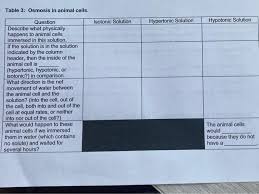 In a hypertonic solution, the solutes outside of the cell have a higher concentration than those inside of the cell. Table 3 Osmosis In Animal Cells Isotonic Solution Chegg Com