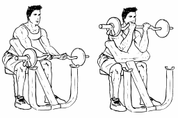 Image result for preacher curls