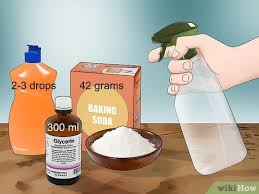 Remove Cat Urine From Couch