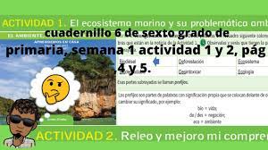 Cada mes recibirás un cuadernillo como este. Cuadernillo 6 De Cuarto A Quinto Grado De Primaria Semana 1 Actividad 3 Y 4 Pag 5 Hasta 8 Youtube