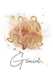 Check spelling or type a new query. Amazon Com Gemini Zodiac Star Sign Astrology Notebook 6 X9 9781796833591 Journals Pretty Planners And Books