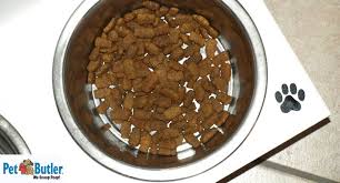This means no sweetened cereals, no cured meats, no mayonnaise or butter, and no flamin' hot cheetos. Portion Control How Much Should My Dog Eat