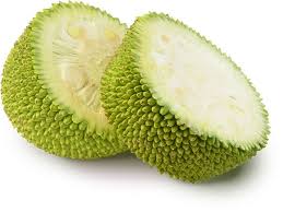 The texture of jackfruit is reminiscent of pulled pork complementing well in noodles and savory dishes. What Is Jackfruit Called In Hindi Quora