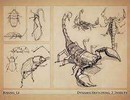 Pin On Dynamics Schetching