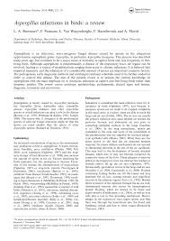One such disease commonly is aspergillosis, which is a fungal infection of the bird's respiratory tract. Pdf Aspergillus Infections In Birds A Review