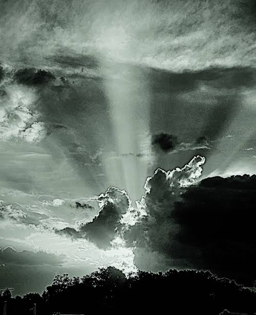 If you’ve spent even one summer in Florida, you’ve seen it: clear blue skies in the morning, then by mid-afternoon — boom — a towering cloud starts building on the horizon. That’s a cumulonimbus clo
