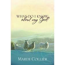 My Absolute Favorite Bible Study Method Book I Am Using This Method Again As I Read The Bible Through Christian Books Read Bible Books
