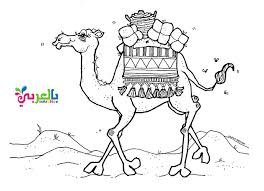 You can easily print or download them at your convenience. Free Islamic Printable Worksheets Prophet Muhammad Belarabyapps