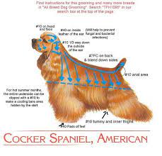 Professional Dog Clippers Oster Andis Conair At Guaranteed Lowest Prices Dog Grooming Styles Cocker Spaniel Grooming Dog Grooming Salons
