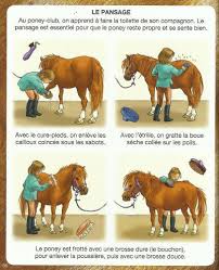 Crapouillotage Equitation Le Pansage Equitation Pansage Cheval Galop
