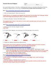 Reproduction, heredity, variation in physical characteristics and variation in number of offspring per individual. Natural Selection Webquest 1 Doc Natural Selection Webquest Name Trackstar 419715 Date Period Go To Each Of These Websites Once There Read The Course Hero