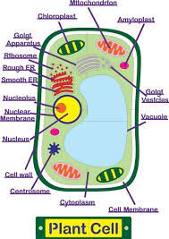 We did not find results for: Best Electronic Digital Die Cutting Machine For Teachers Classroom Letter Cutouts Variquest Cutout Maker 1800 Varitronics Llc