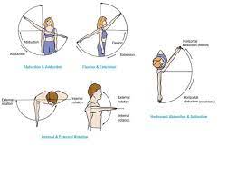 Muscles That Move The Arm Shoulder Joint Muscle How To Study Anatomy