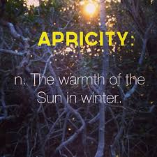 Explore our collection of motivational and famous quotes by authors you know and love. Winter Blues