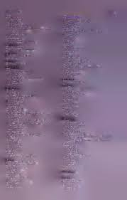 Image result for Tridentea marientalensis