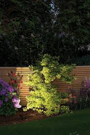 Pflanzenbeleuchtung Garten In 2020 Aussenbeleuchtung Paulmann Gartenbeleuchtung