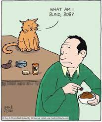 130 Comics ideas in 2021 | cat comics, crazy cats, cartoon cat