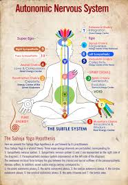 Sahajayoga Plexus Medical Chart