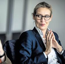 Analyse der rhetorik und körpersprache von alice weidel bei markus lanz im zdf.videoquelle: Alice Weidel Memes On Twitter When You See Your Hot New Secretary Walk By In A Tight Skirt