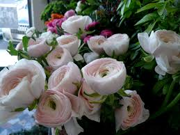 We did not find results for: Blog Style By Tania Muser Tania Muser Floral Designer Tania Muser