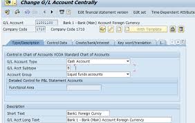 107 56 signed into law october 26, 2001)) requires all financial organizations to obtain, verify and record information that identifies each person who opens an account. Blog S 4hana 2020 Bank Accounts Eursap
