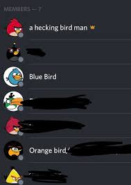 Anime pfps for discord boysall software. Me And The Boys Making Our Discord Pfps Angry Birds Teenagers
