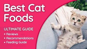 best cat foods in 2019 brand reviews analysis