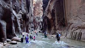 The narrows is the narrowest section of zion canyon in zion national park, utah, united states. Zion National Park Anfahrt Aussichtspunkte Wanderungen