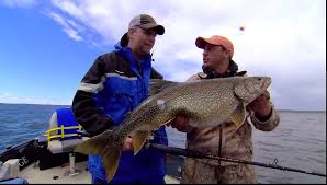 lake trout length to weight conversion chart