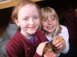 Evelyn Littlejohn's Instagram, Twitter & Facebook