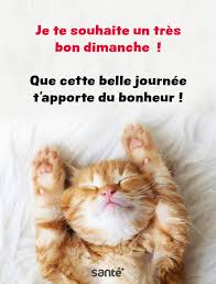 Résultat de recherche d'images pour "bon dimanche"