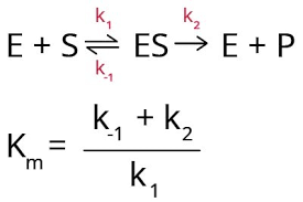 Enzyme Inhibitor Terms and Calculations