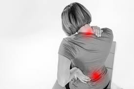 However, the history and physical examination may elicit warning signals that indicate the low back pain is a problem that family physicians confront in their patients almost daily. Middle Back Pain Causes Blog Maywood Physical Therapy
