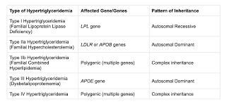Image result for Hypertriglyceridemia