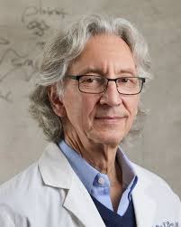 Faculty & Staff < Cardiovascular Medicine