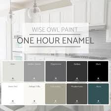 Having painted cabinets in previous homes, i knew the pitfalls associated with applying enamel paint. New Wise Owl One Hour Industrial Strength Enamel Paint In Etsy Wise Owl Paint Painted Doors Painting Cabinets