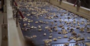 Walnut Processing News