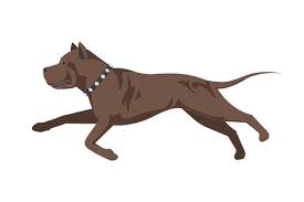 Download Pitbull Svg Cut File By Creative Fabrica Crafts Creative Fabrica PSD Mockup Templates