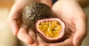 Health Benefits Of Passion Fruit Http Dlvr It Qz8bfm Http Dlvr It Qz8bfm Health Passion Fruit Fruit