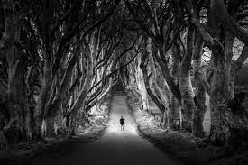 Shop by color, room type, theme or style. 15 Amazing Black White Landscape Photos That Will Leave You In Awe Photzy